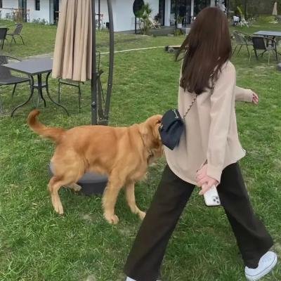 百万金臂